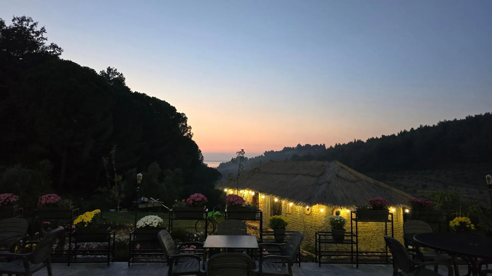 Toska Farm Hotel Meci
