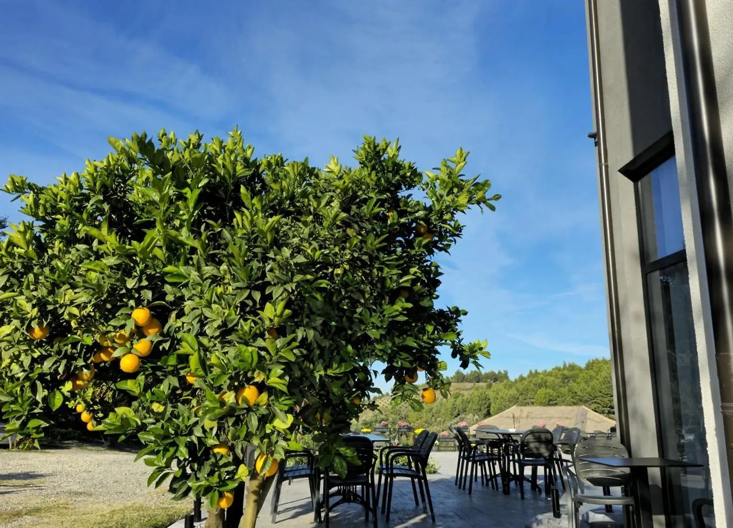 Toska Farm Hotel Meci 0*,