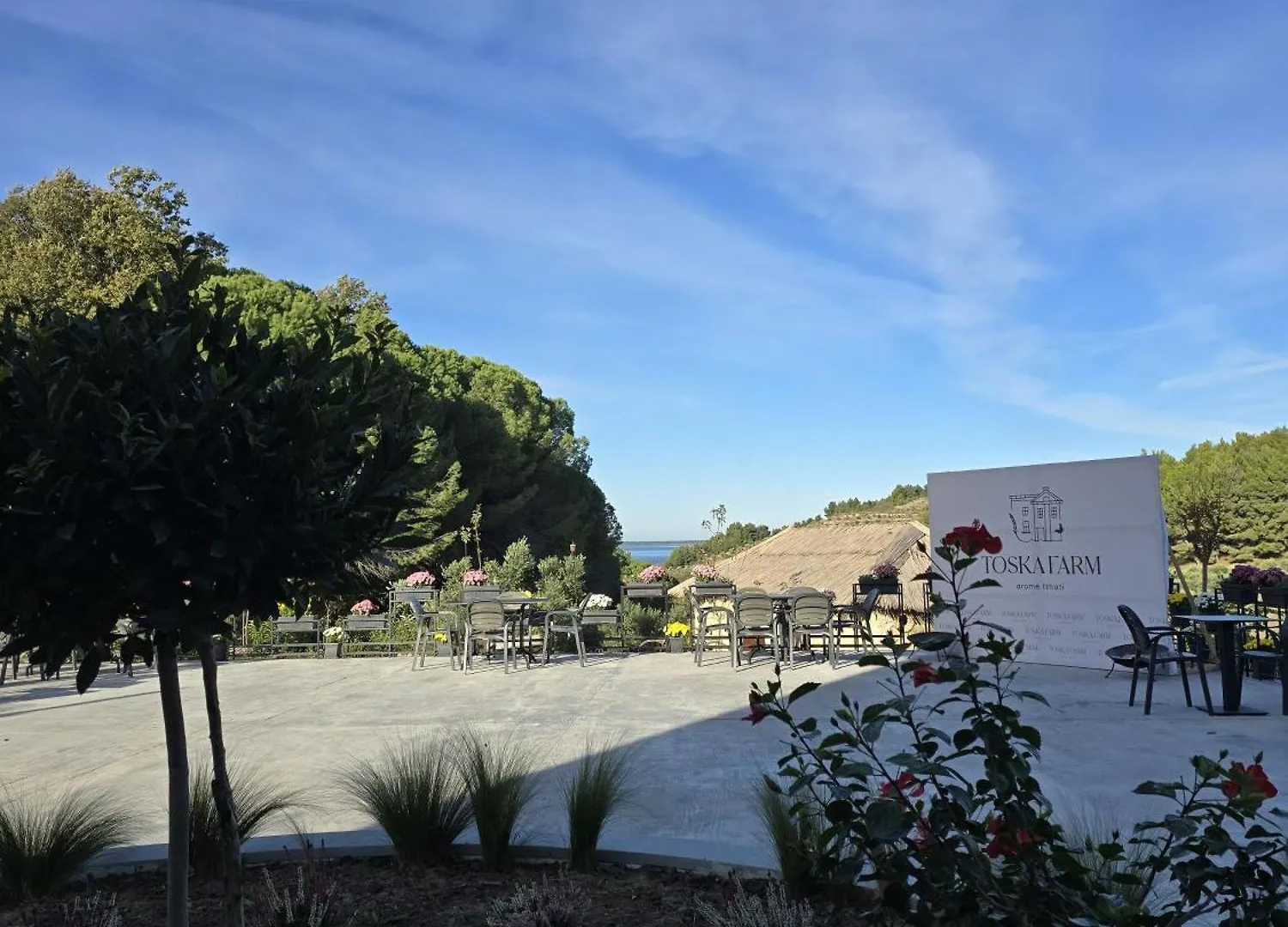 Toska Farm Hotel Meci