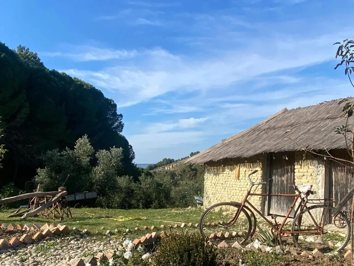 Toska Farm Hotel Meci