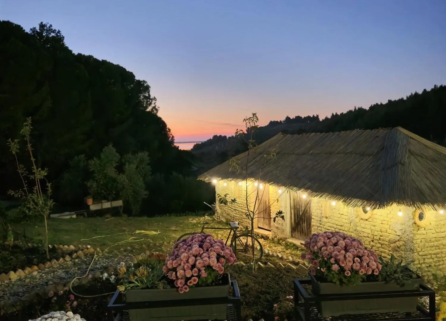 Toska Farm Hotel Meci
